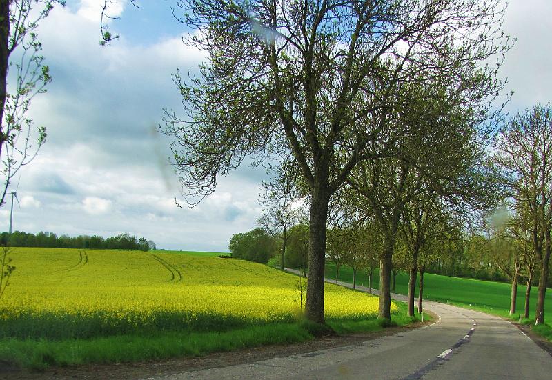 1st Belgian Octagon Tour - dag2 (41).JPG